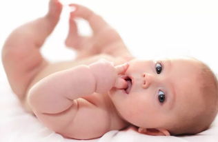 ��������ͼƬ2